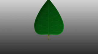 Картинка по теме - как нарисовать в фотошопе листья