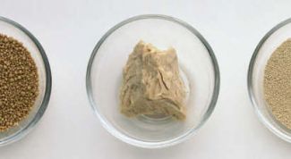 Картинка по теме - как приготовить домашние дрожжи