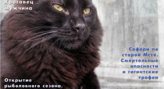 Картинка по теме - как сделать свое фото на обложке журнала