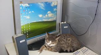 Картинка по теме - как поменять background