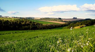 Картинка по теме - как переоформить собственность на земельный участок