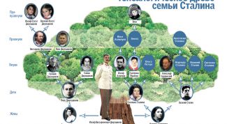 Картинка по теме - как оформить родословное дерево