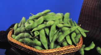 Картинка по теме - как варить бобы