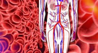 Картинка по теме - как увеличить кровообращение