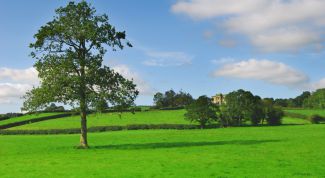 Картинка по теме - как доказать, чей земельный участок 