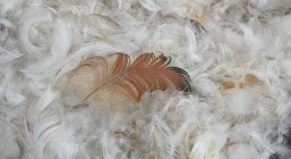 Картинка по теме - как стирать пух из подушек