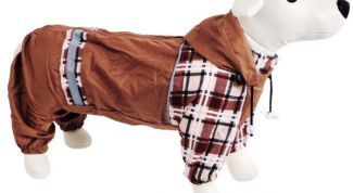 Картинка по теме - как сшить комбинезон для таксы