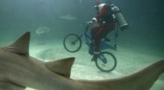 Картинка по теме - как сделать акваланг