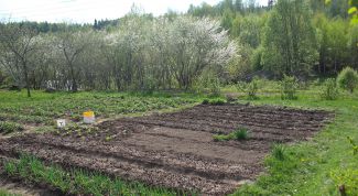 Картинка по теме - как раскислить почву