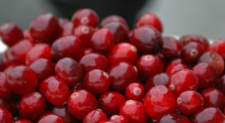 Картинка по теме - как собирать клюкву