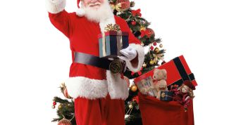 Картинка по теме - как забрать подарки с кремлевской елки