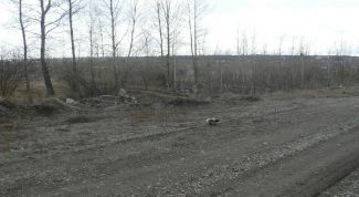 Картинка по теме - как получить 10 соток