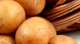 Картинка по теме - как вырастить картошку семенами