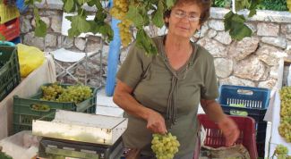 Картинка по теме - как найти хорошего продавца