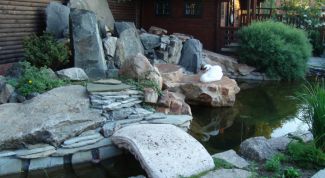 Картинка по теме - как благоустроить дачу