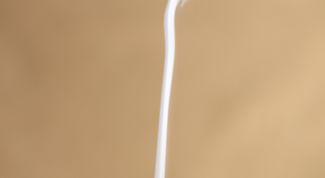 Картинка по теме - как избавиться от запаха гари в доме