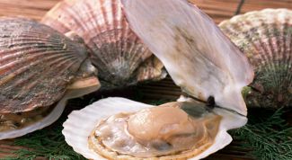 Картинка по теме - как жарить гребешки