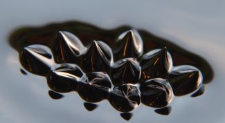 Картинка по теме - как сделать магнитную жидкость