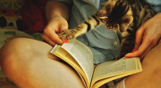 Картинка по теме - как определить идею текста