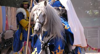 Картинка по теме - как сделать самому костюм рыцаря