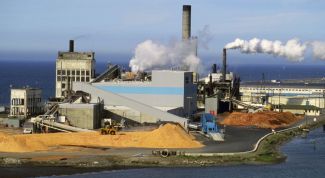 Картинка по теме - как определить размер организации