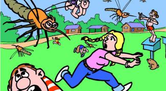 Картинка по теме - как защититься от комаров
