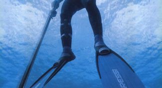 Картинка по теме - как сделать подводный арбалет