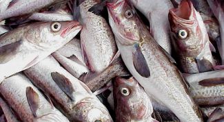 Картинка по теме - как чистить минтай