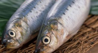 Картинка по теме - как солить кижуча