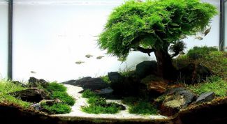 Картинка по теме - как сделать декорации для аквариума