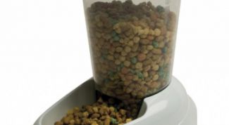 Картинка по теме - как сделать автоматическую кормушку