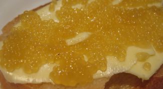 Картинка по теме - как посолить щучью икру