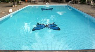 Картинка по теме - как чистить бассейн