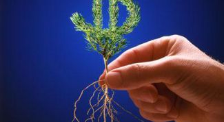 Картинка по теме - как получить максимальную прибыль