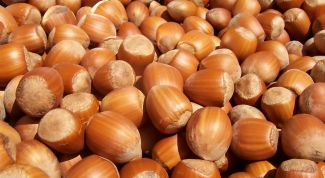 Картинка по теме - как сушить орехи