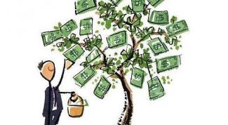 Картинка по теме - как заполнять декларацию по пенсионному фонду 