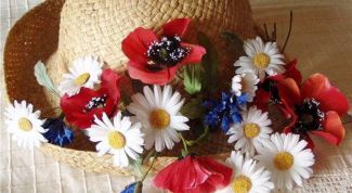 Картинка по теме - как сплести шляпу