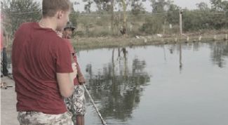 Картинка по теме - как привязать шок лидер