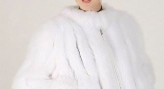 Картинка по теме - как отбелить белый мех