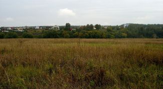 Картинка по теме - как найти свой земельный участок