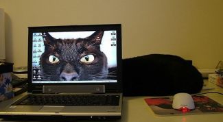 Картинка по теме - как записать несколько ps2 игр на один dvd