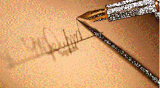 Картинка по теме - как написать отказ от наследства