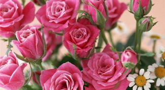 Картинка по теме - как заказать цветы в интернете