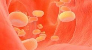 Картинка по теме - как повысить уровень холестерина