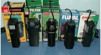 Картинка по теме - как установить внутренний фильтр в аквариум