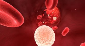 Картинка по теме - как восстановить лейкоциты