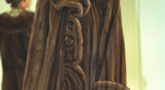 Картинка по теме - как отличить норку