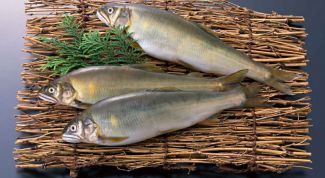 Картинка по теме - как приготовить молочную рыбу