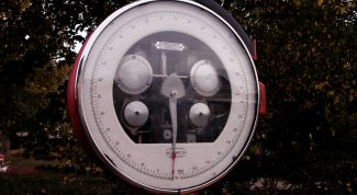 Картинка по теме - как перевести кг в мл