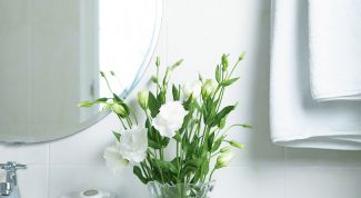 Картинка по теме - как вымыть зеркало